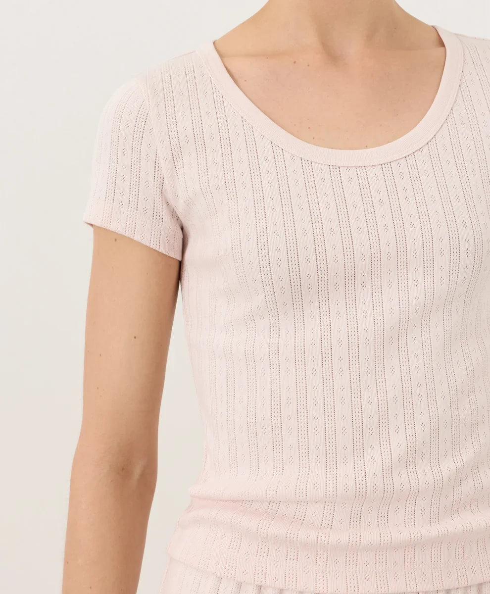 clothingwearpact.us.com